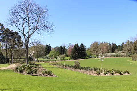 Bruxelles - Aménagements paysagers, techniques et plantations